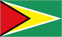 Flagge von Guyana