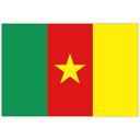 Flag of Cameroon