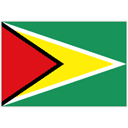 Flag of Guyana